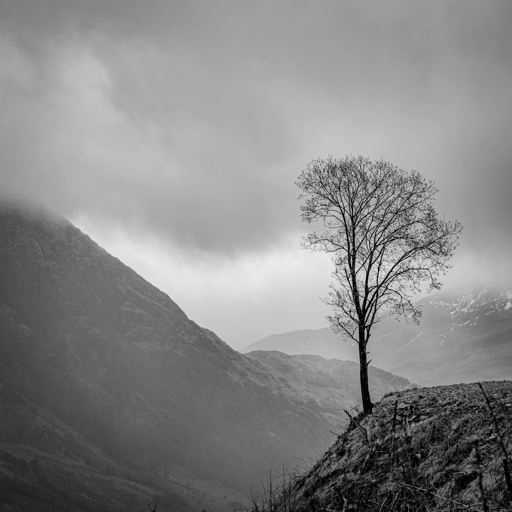 Bart Claes-Narratieve reeks