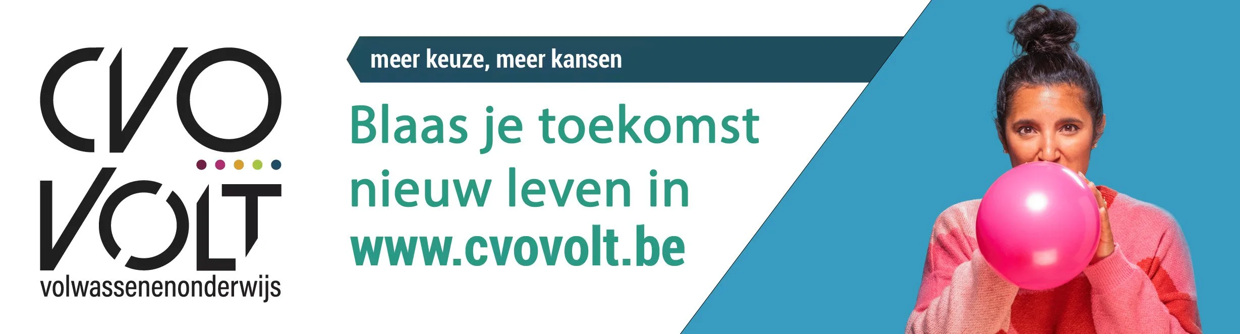 Steffen Vos-CVO