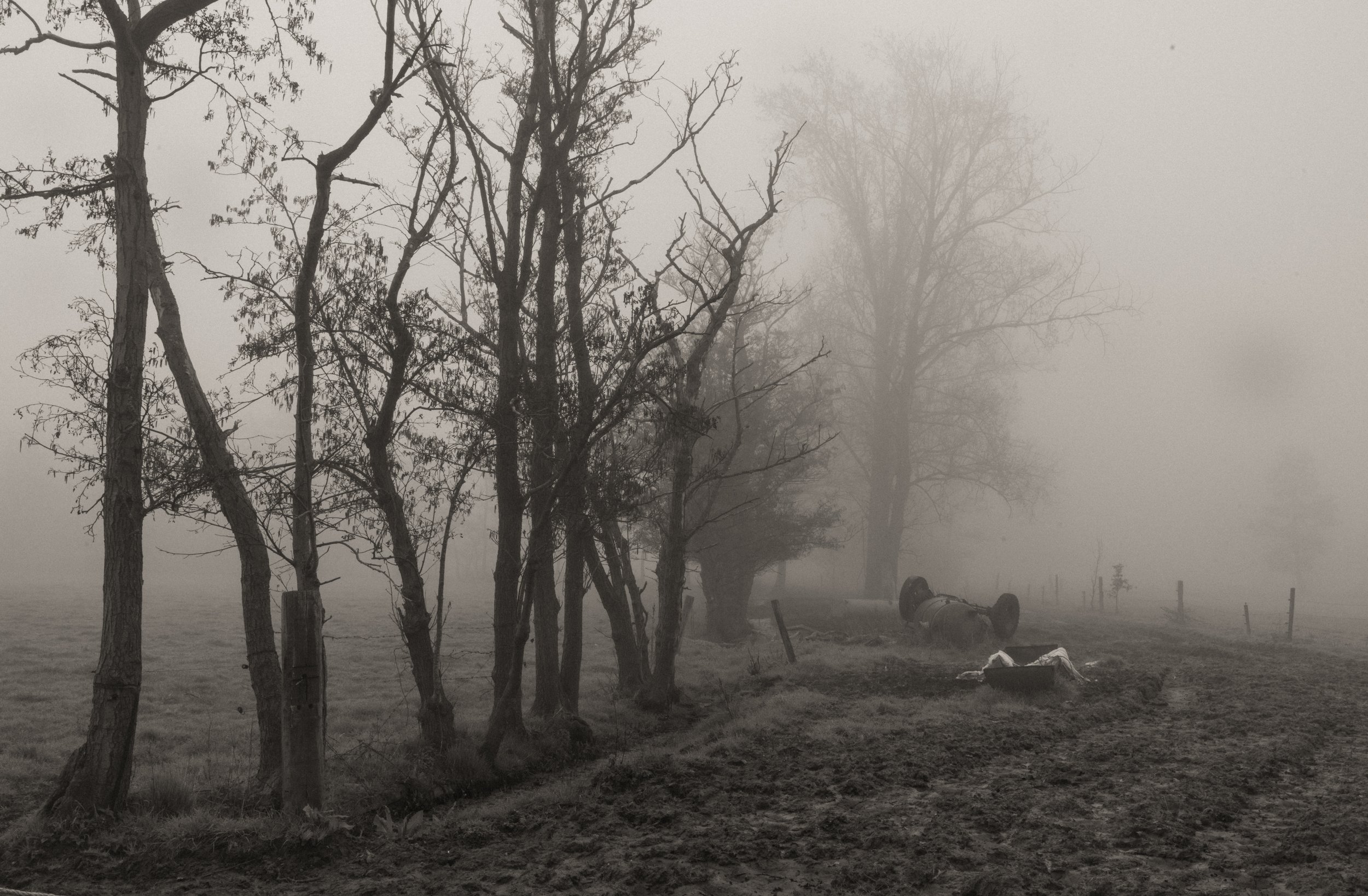 Patricia Schoolmeesters- Picturalisme