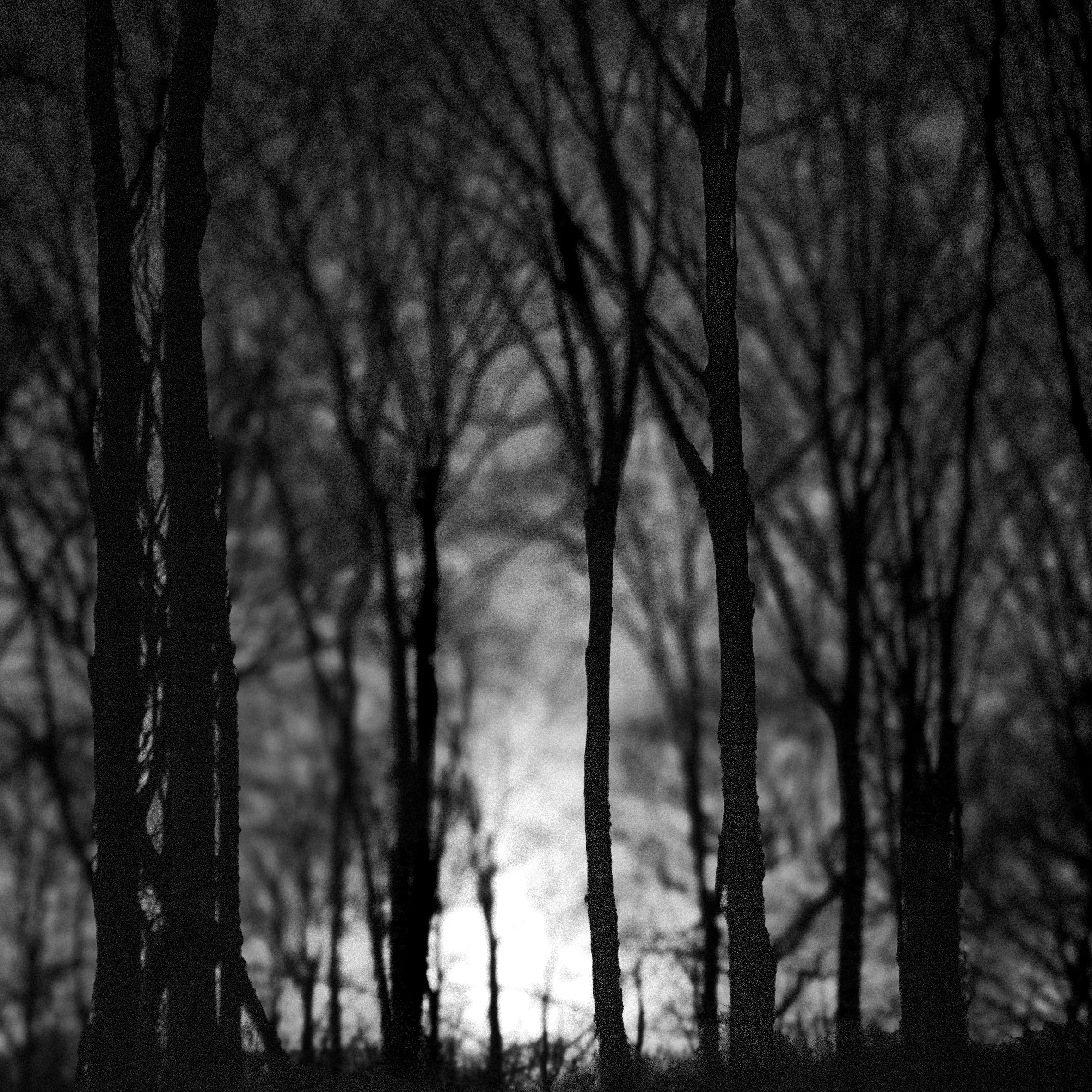 Marina Coekaerts-Nacht