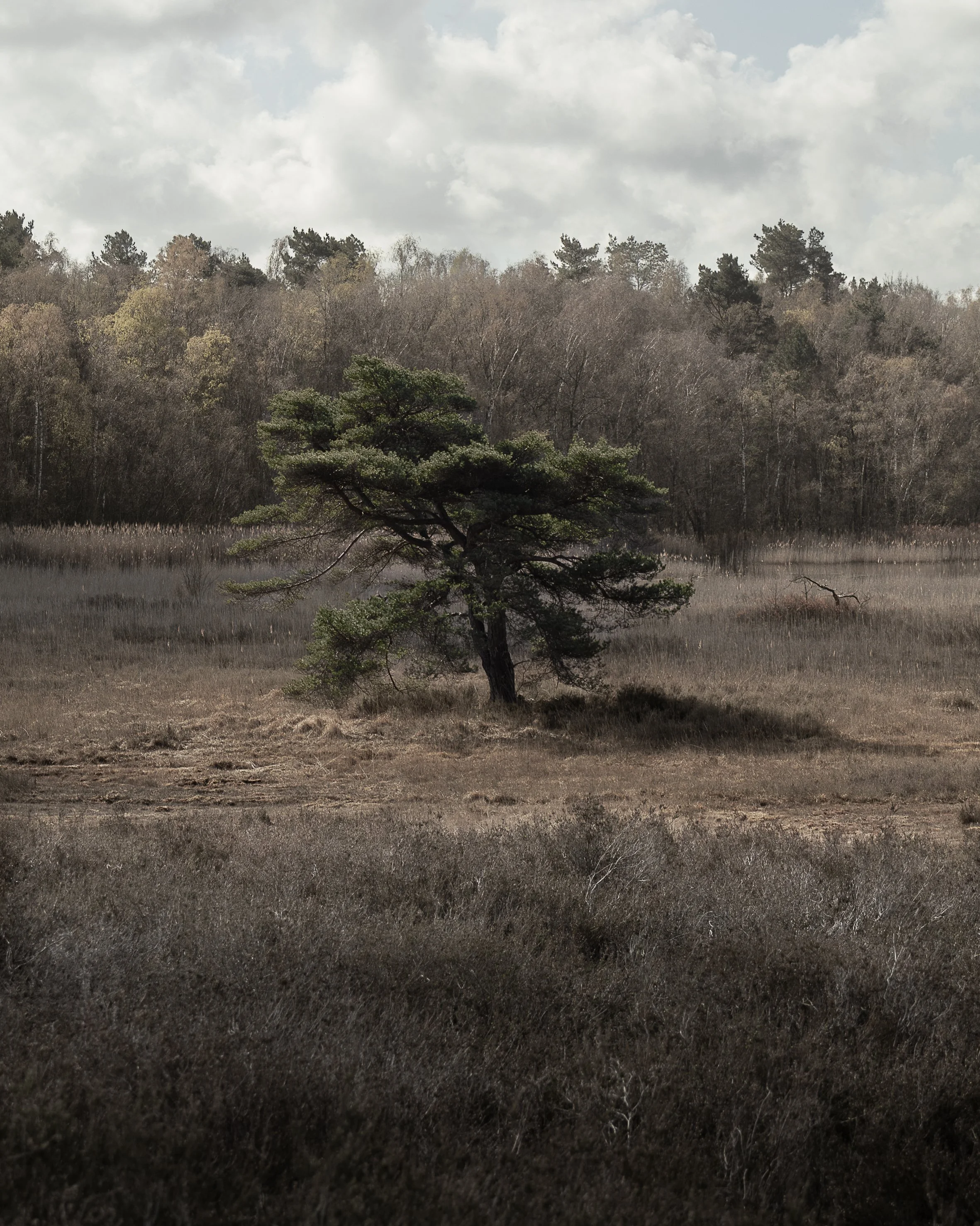 Marijke Christiaens-Zonder horizon