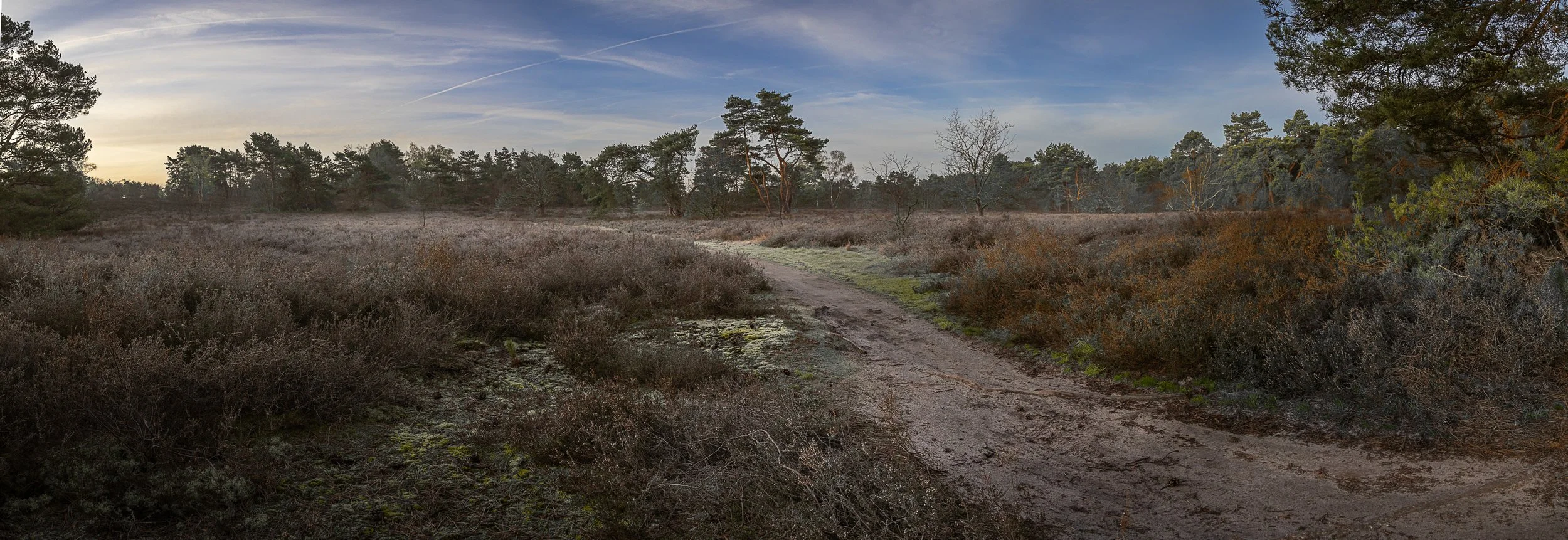 Marijke Christiaens-Panorama