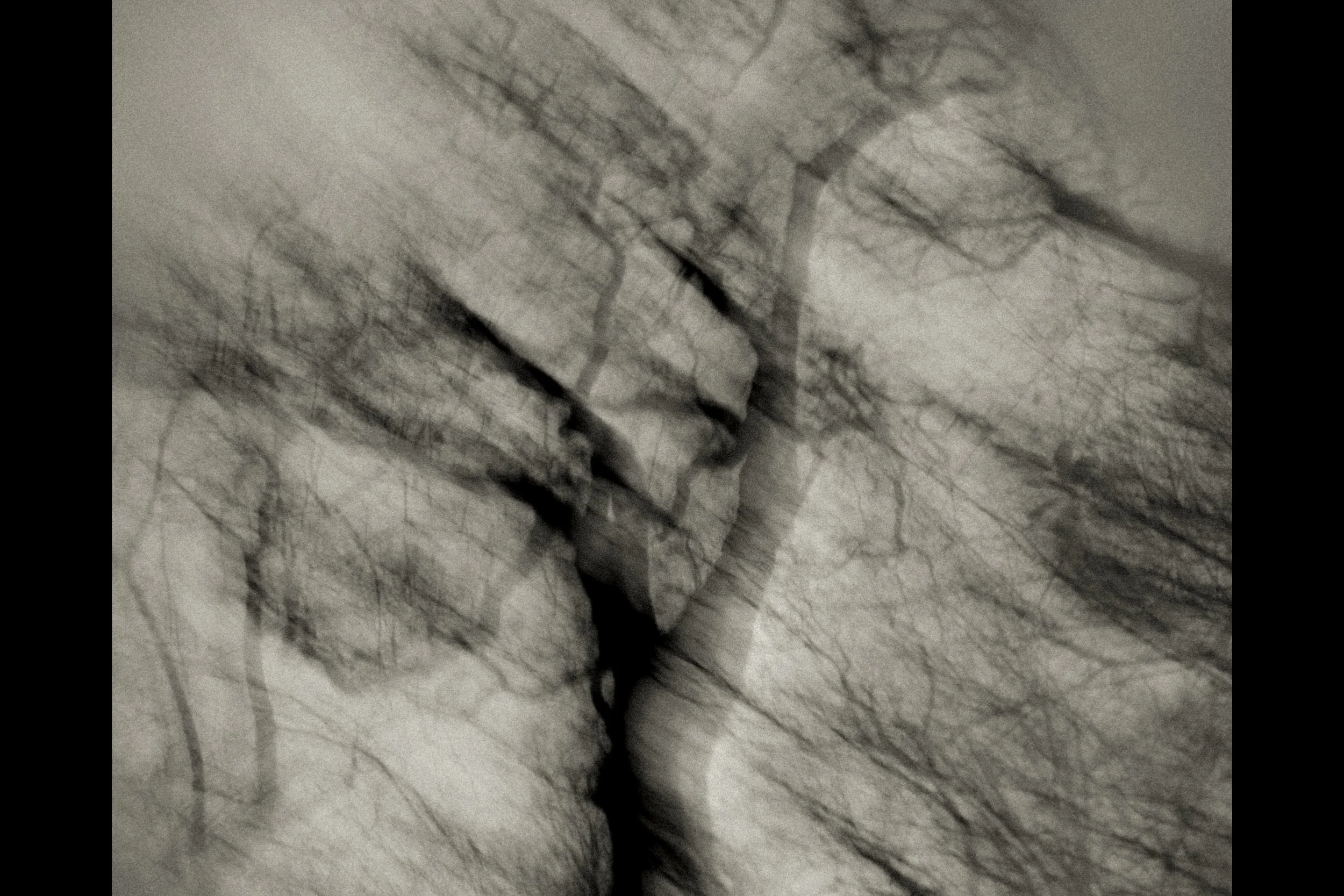 Karine Goossens-Picturalisme