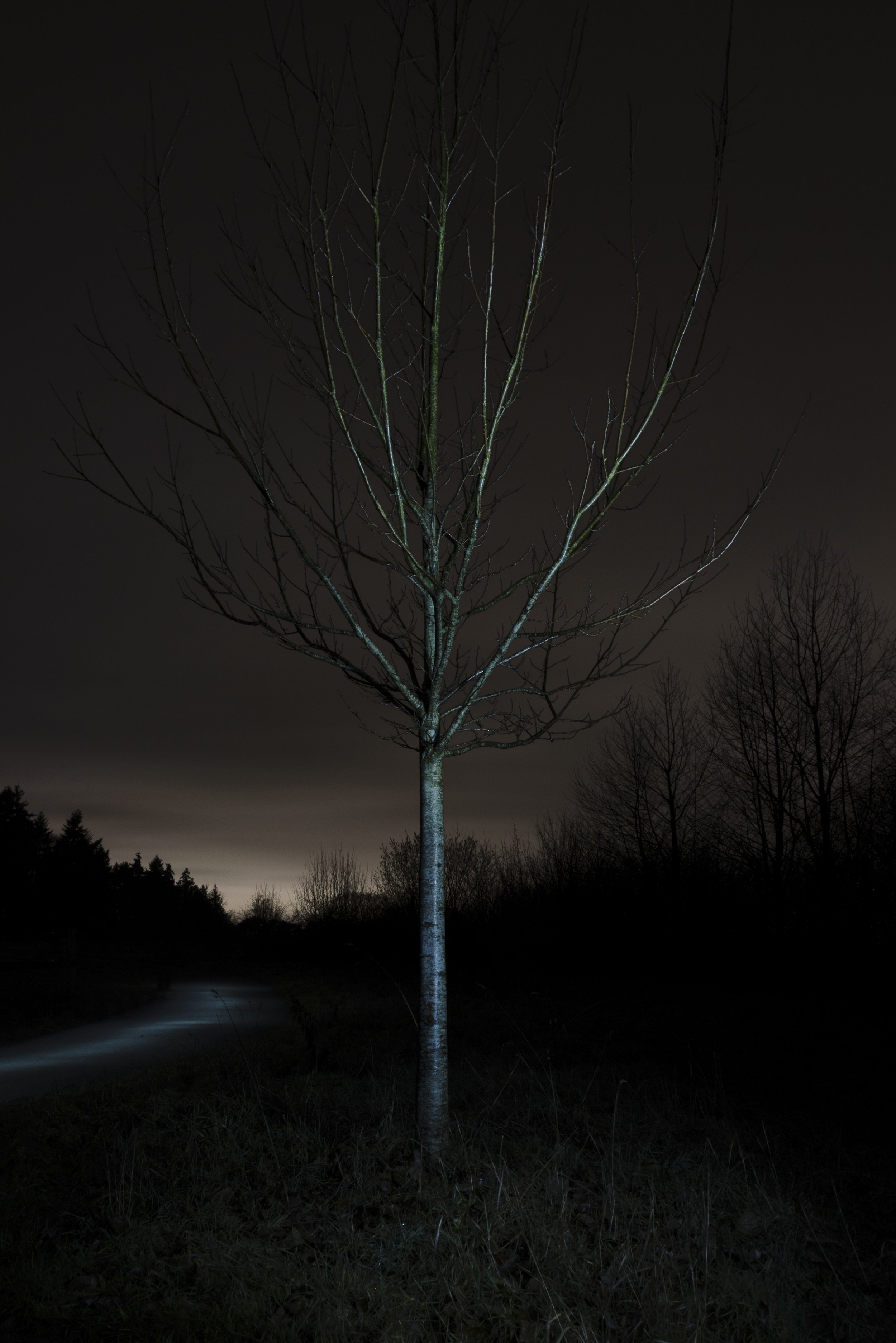 An Berger-Nachtfotografie