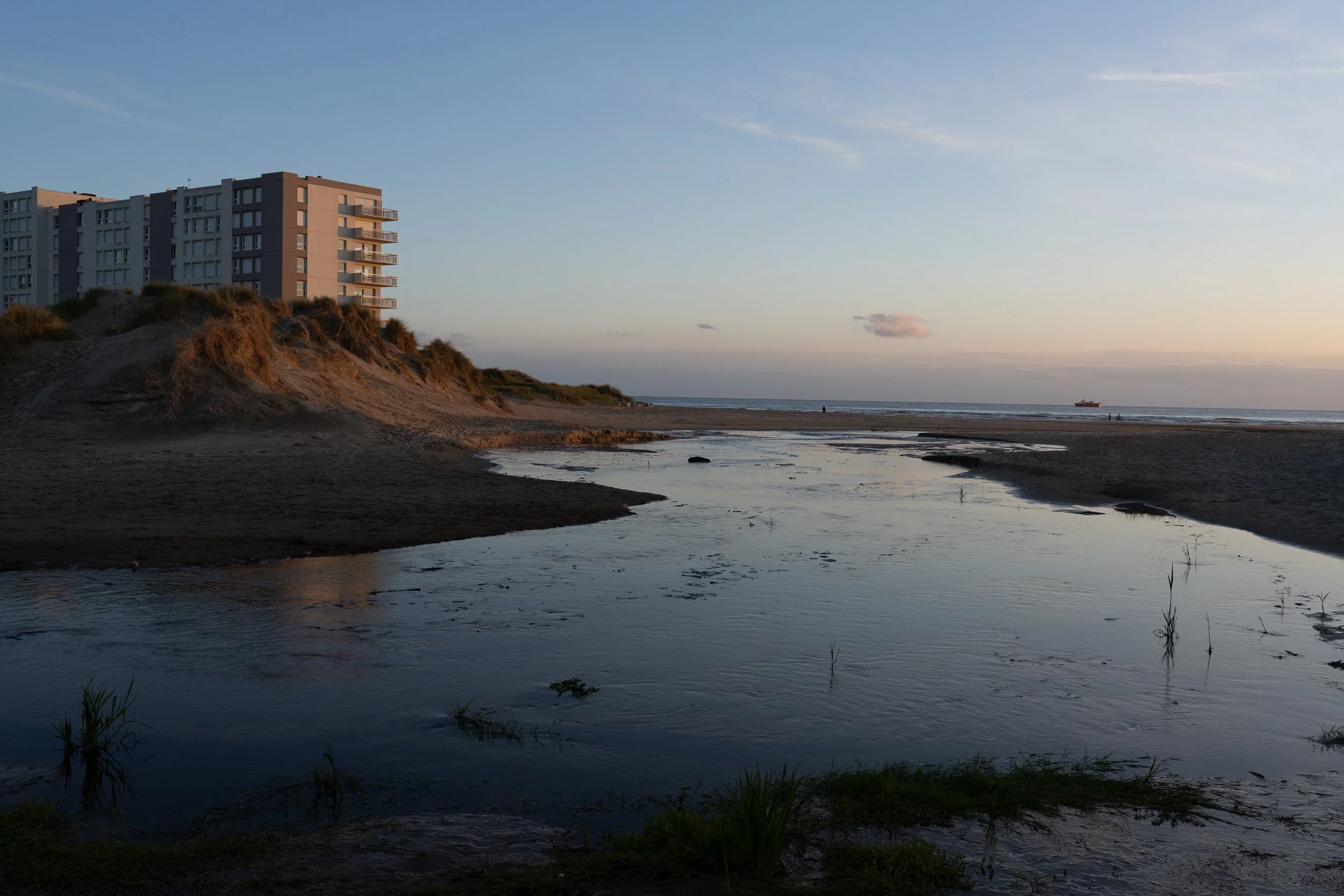 Patricia Schoolmeesters-Aan de rand van de urbanisatie