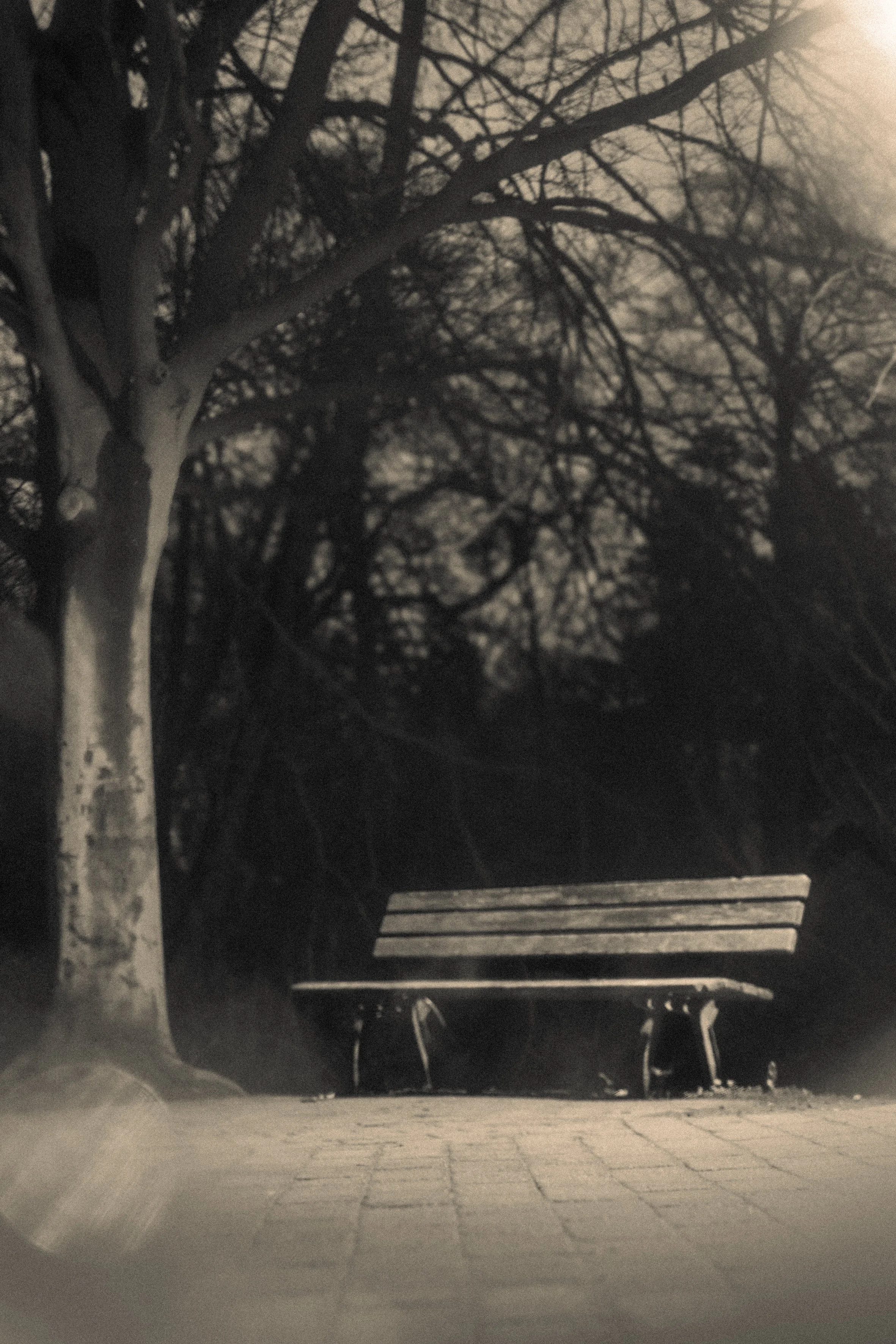 Leen Symons - Picturalisme