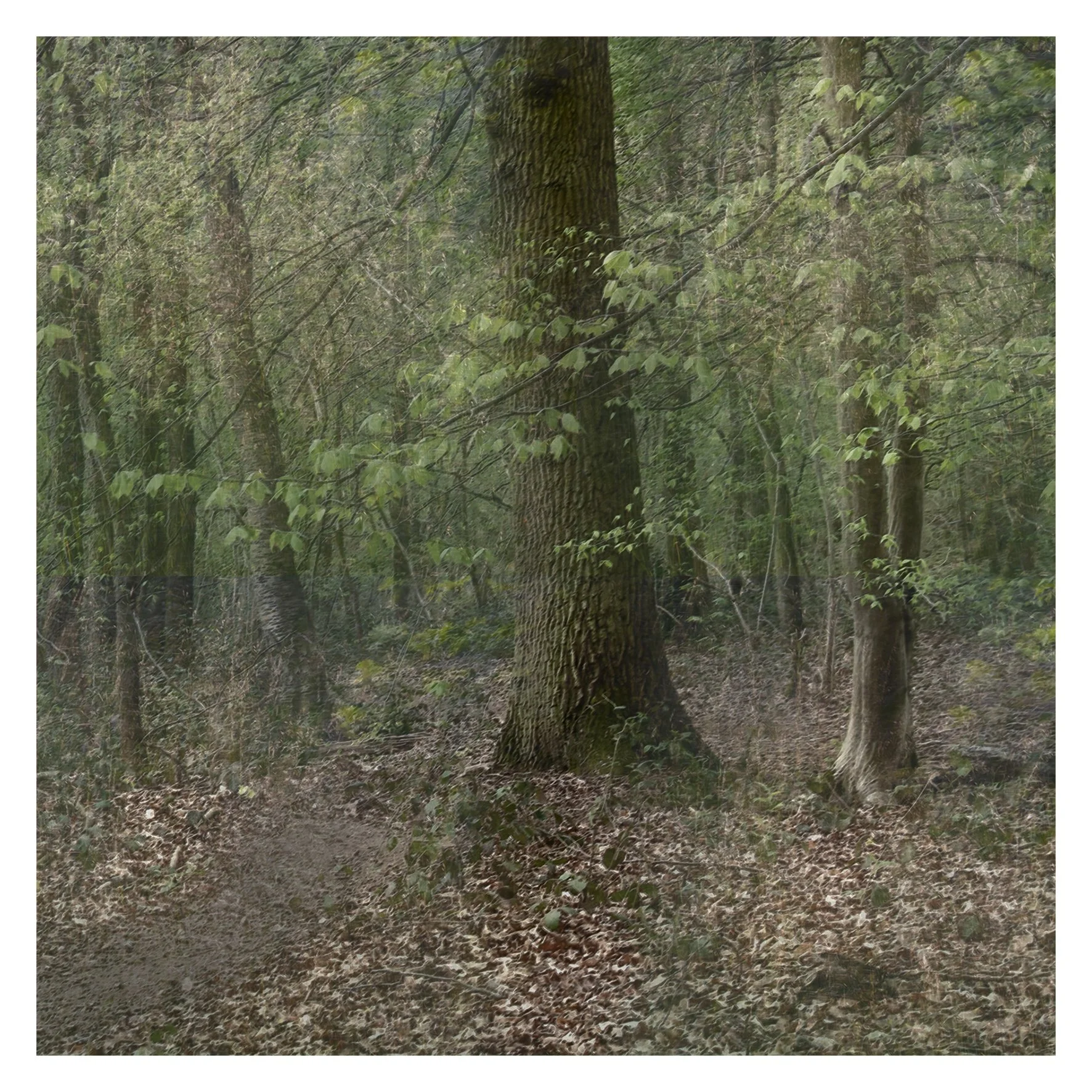 Chris Van den Eeckhout-Blij