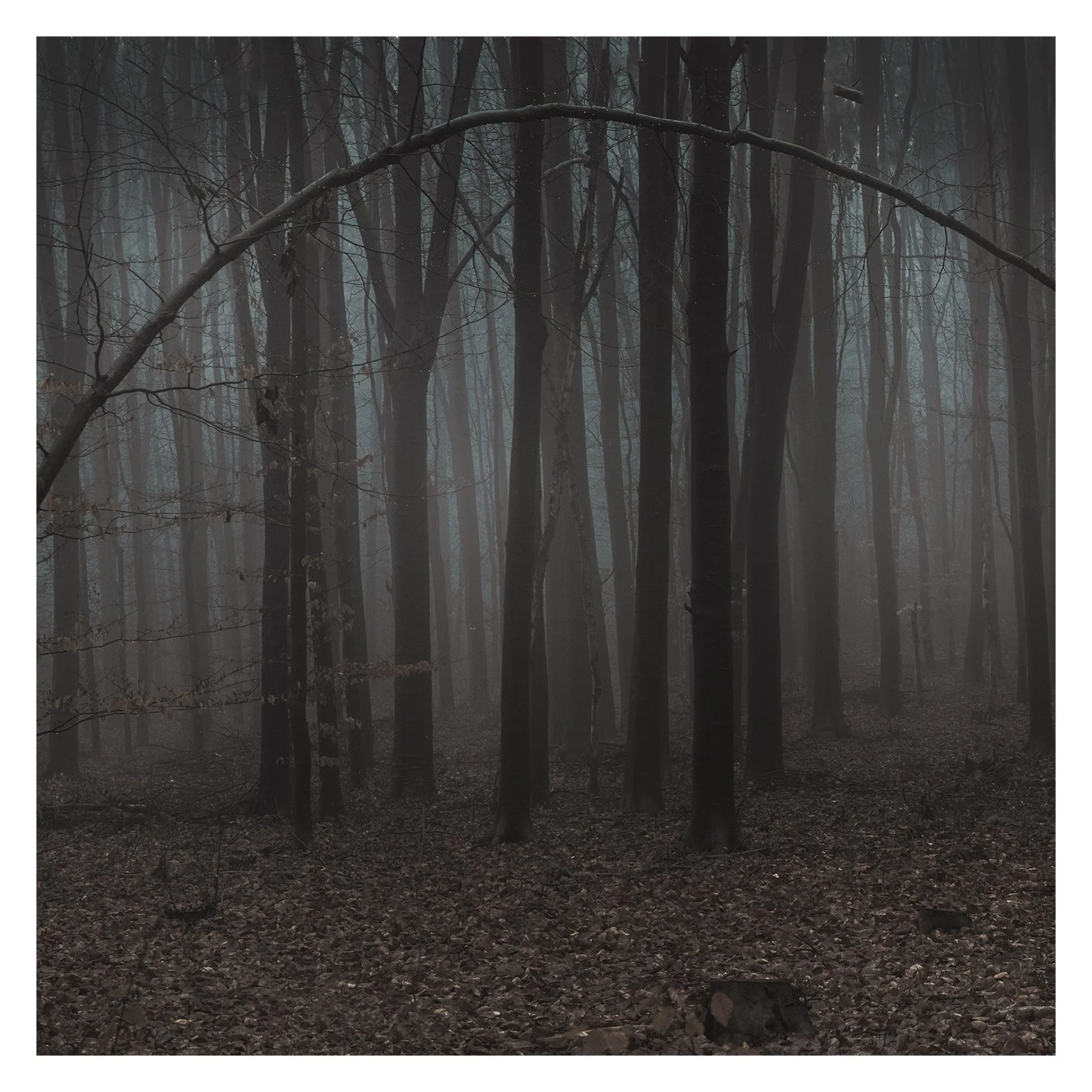Chris Van den Eeckhout-Angst