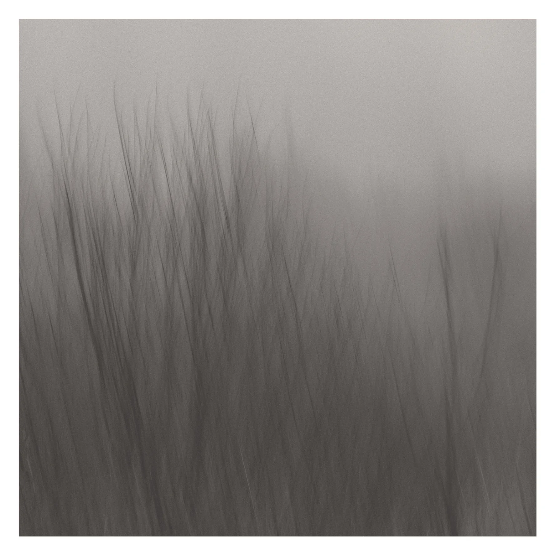 Chris Van den Eeckhout-Verdriet