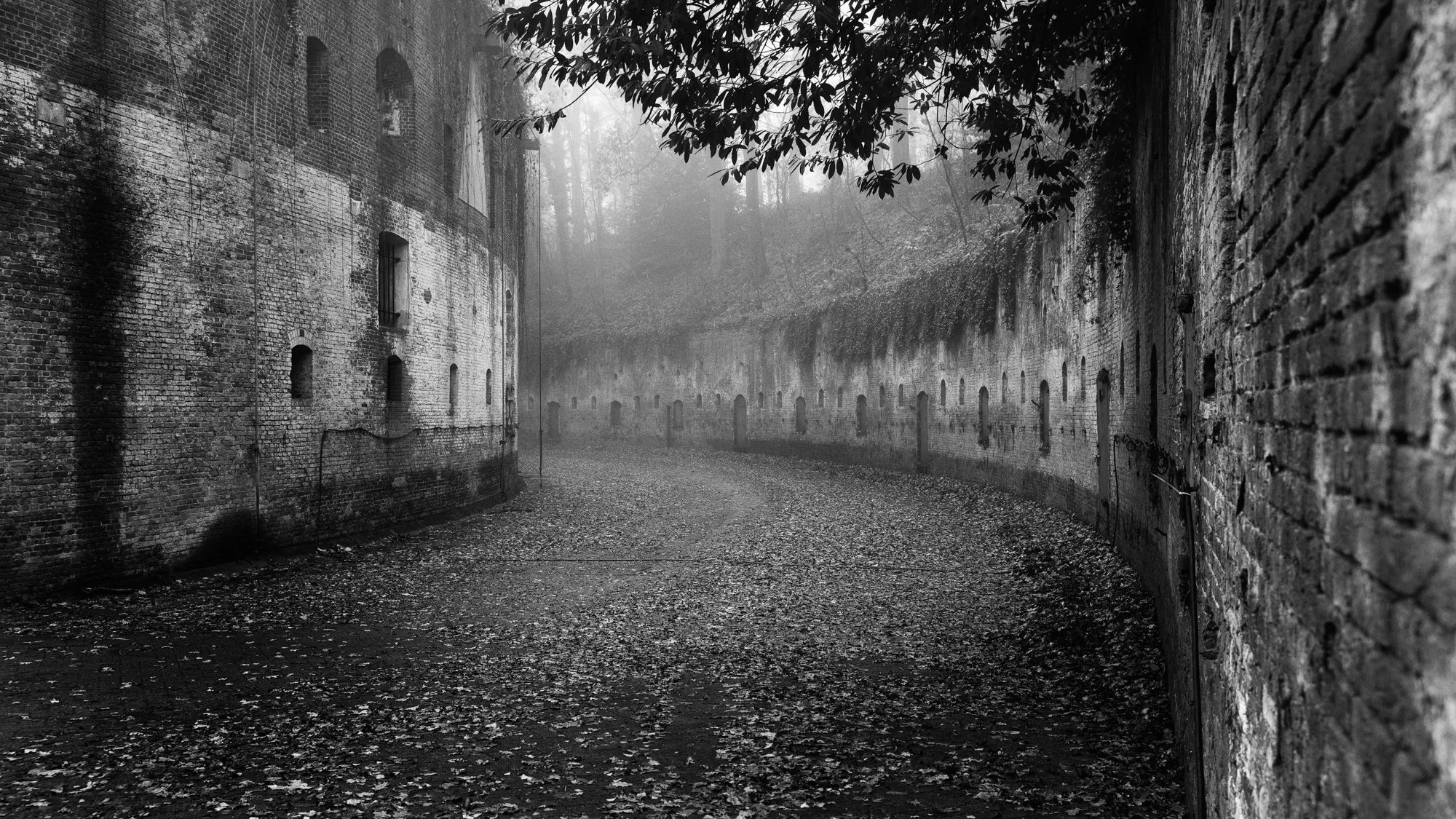 Kris Aerts-Leve De Grisaille 