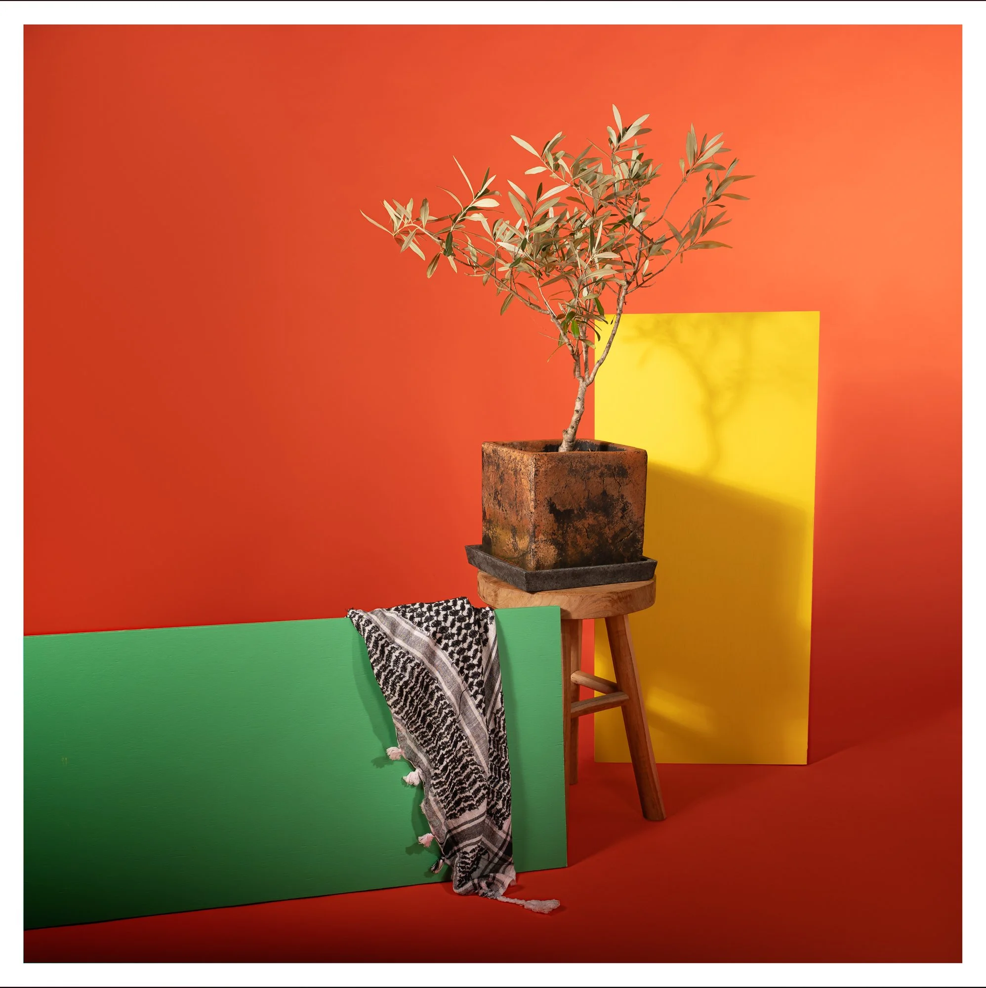 Kris Aerts-Be Colourful