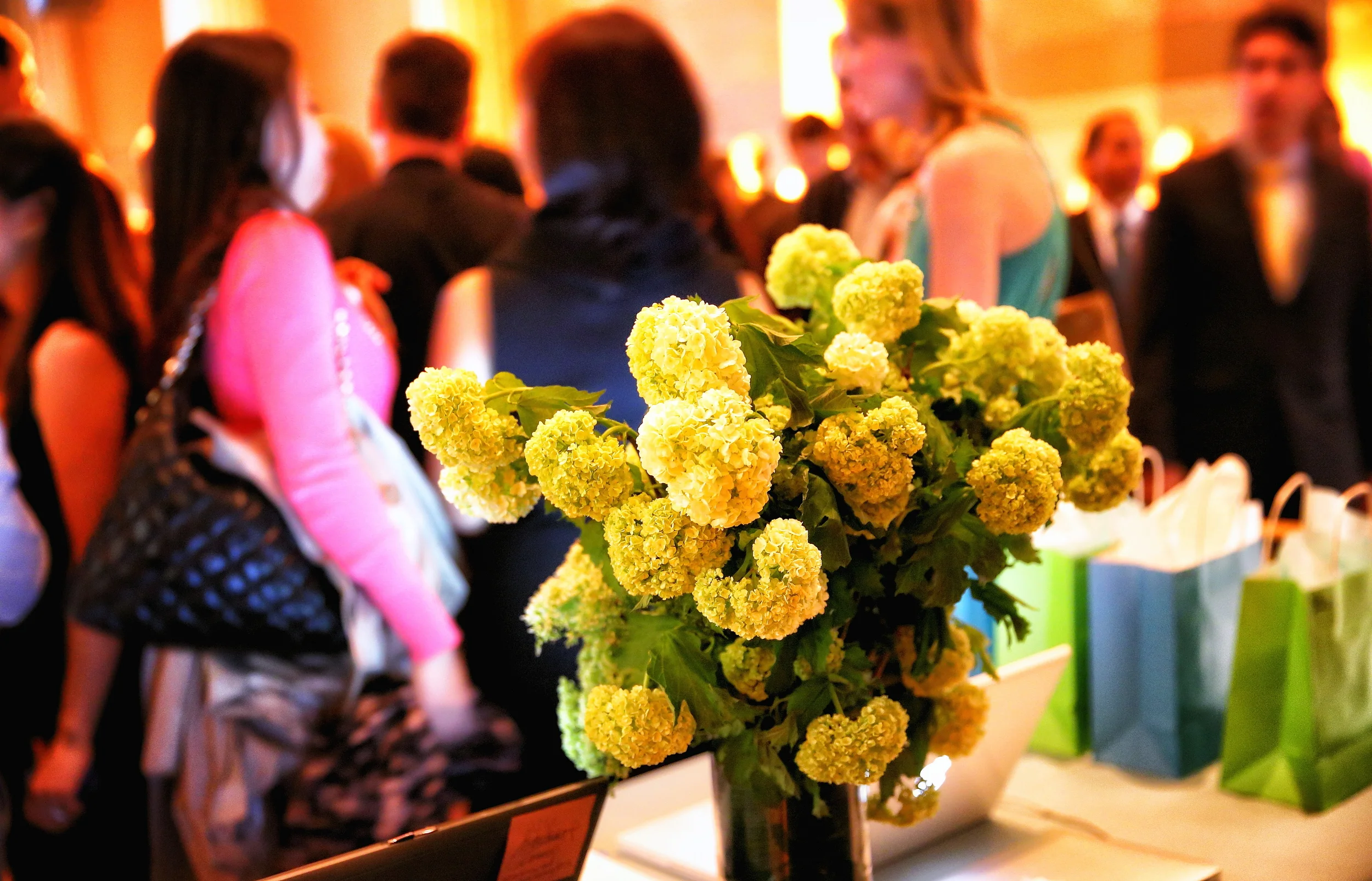 Photo Credit: Godwell Chan