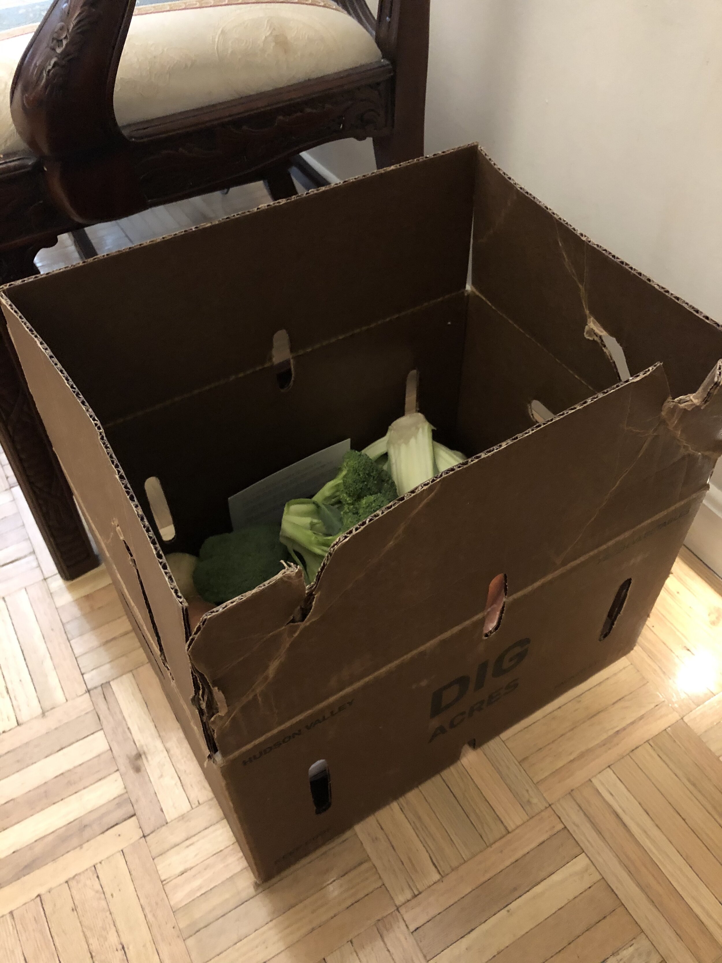 Veggie box.jpg