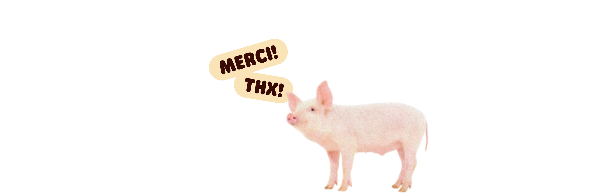 Plan de travail 19.png