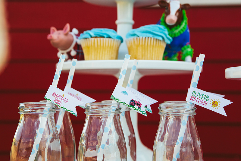 Farm Straw Flags - Farm Party - Barnyard Bash