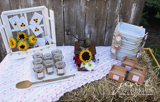County Fair Birthday Party - Jen T by Design 3.jpg