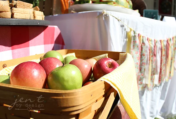 County Fair Birthday Party - Jen T by Design 23.jpg