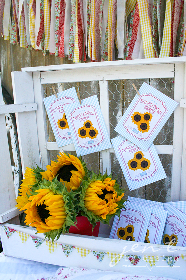 County Fair Birthday Party - Jen T by Design 13.jpg