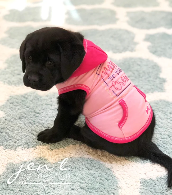 Fun Ways to Use Cricut Iron-on Designs