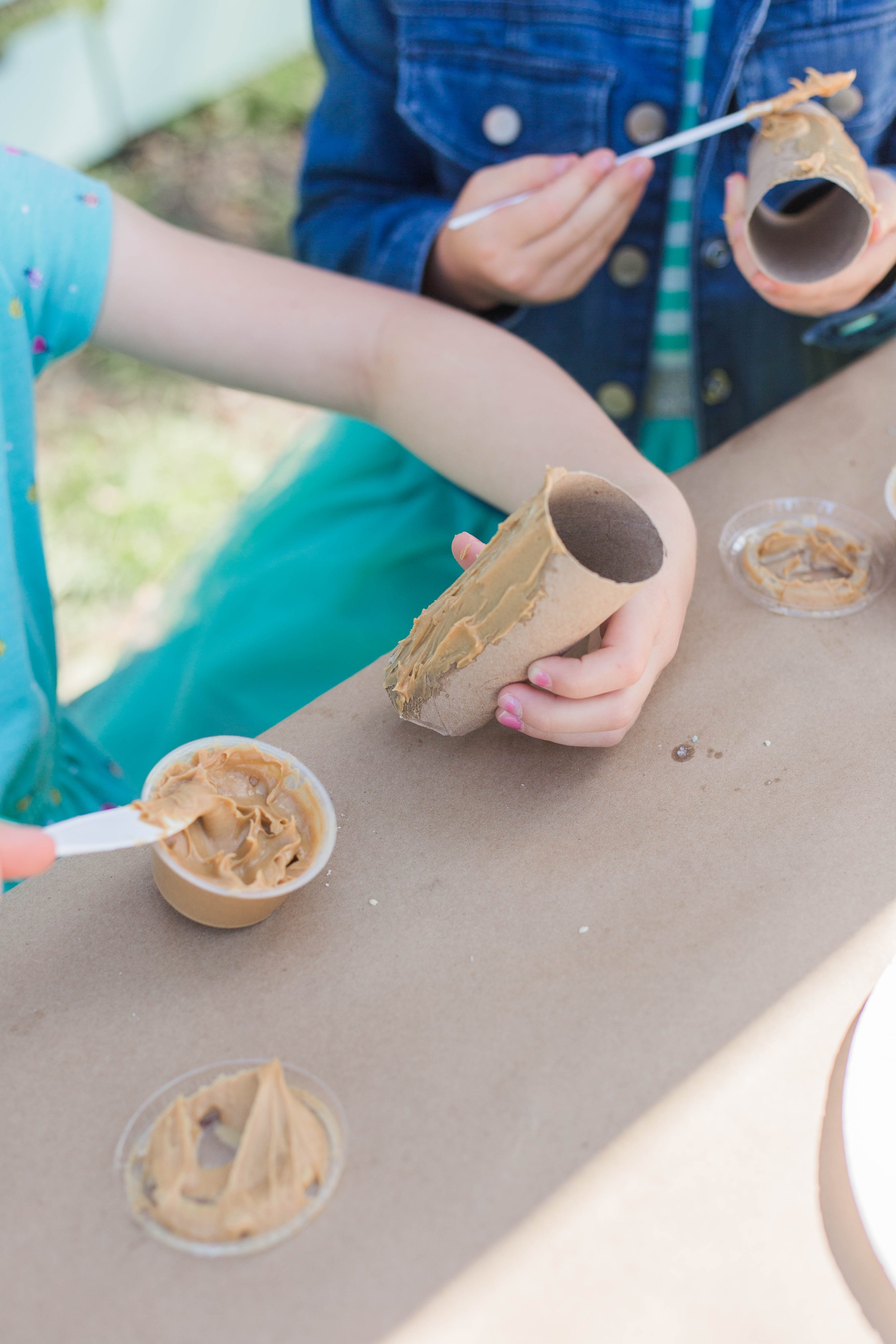 DIY Cardboard Tube Bird Feeder