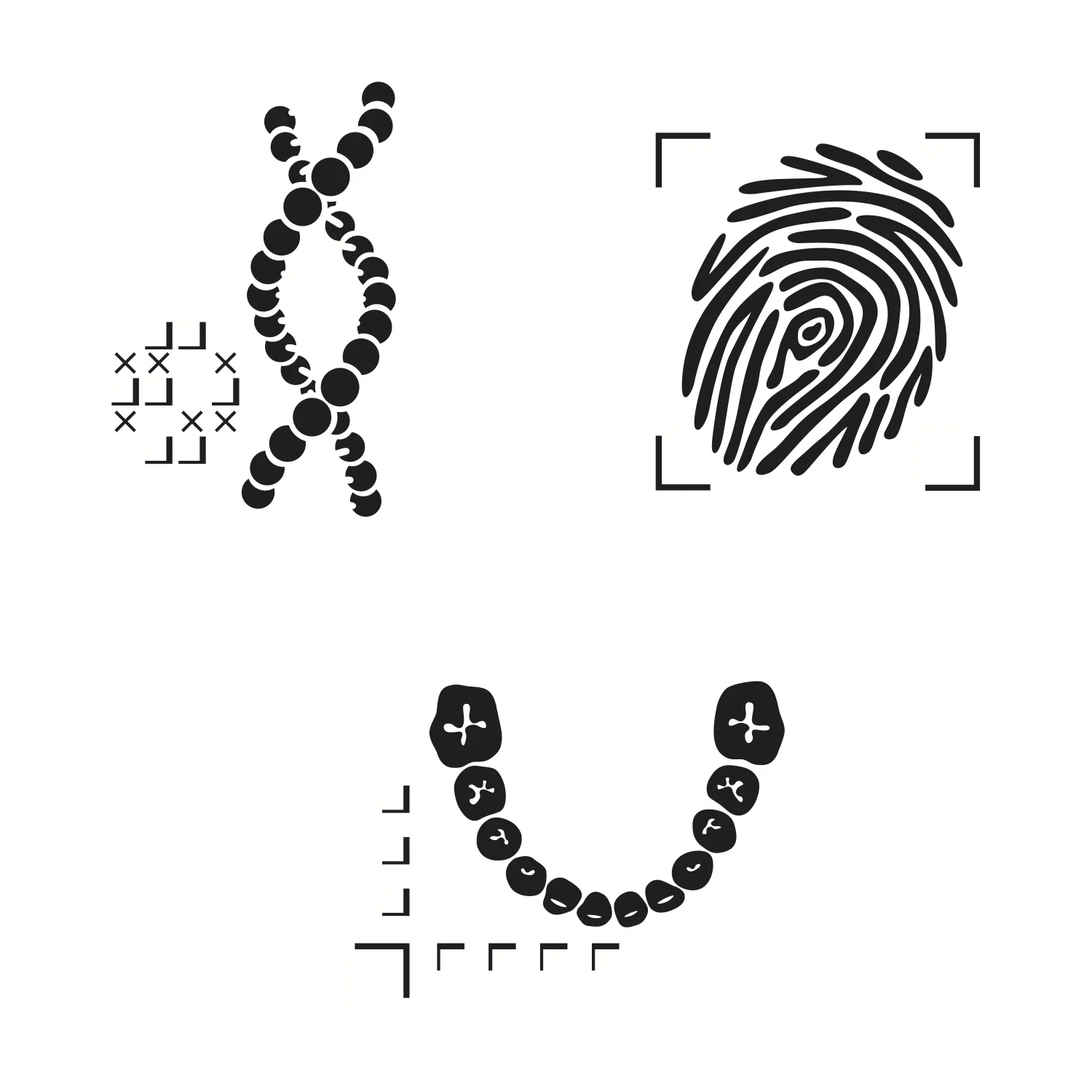 Final Icons.jpg