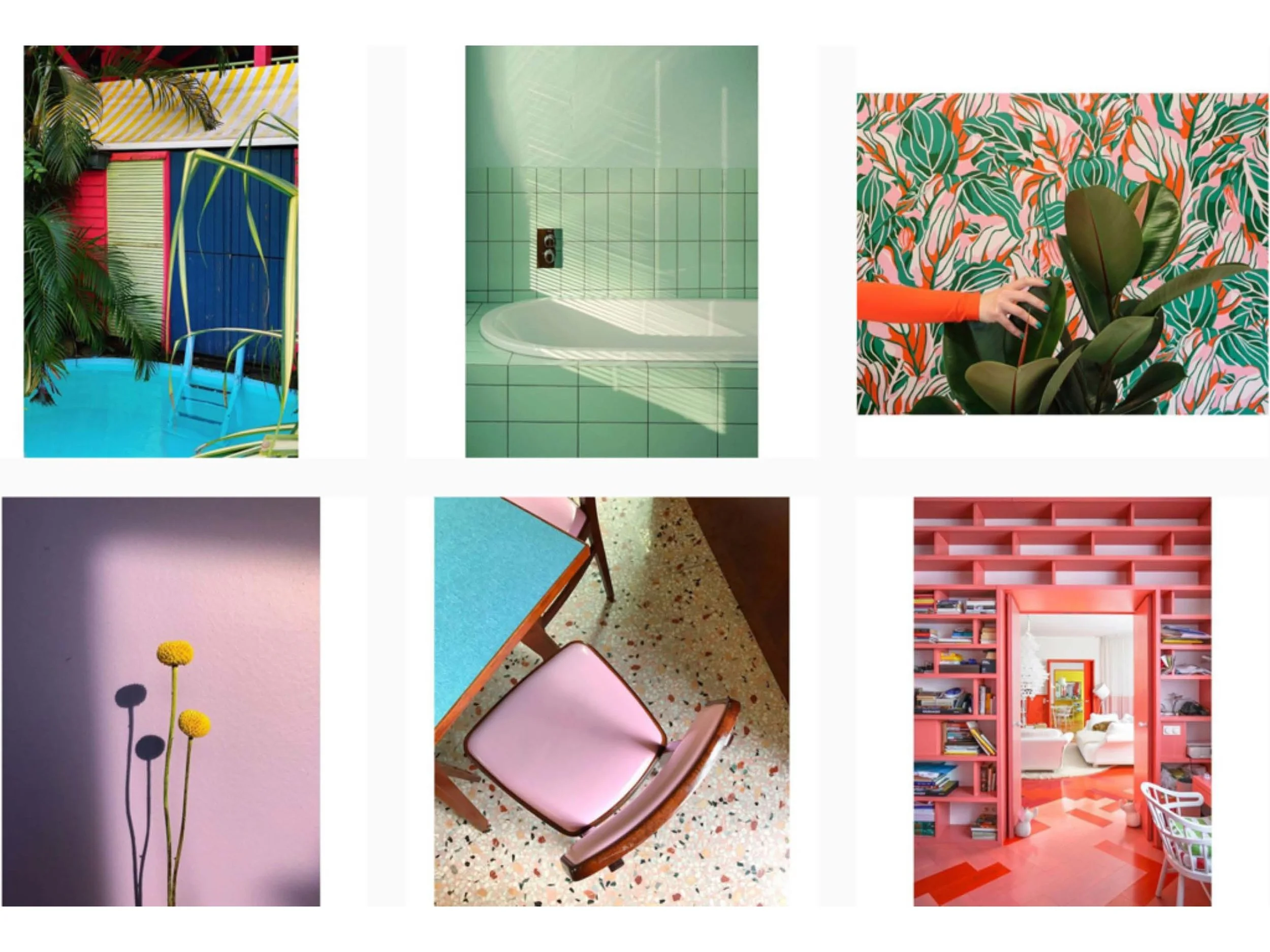 Zooba store mood_Page_16.jpg