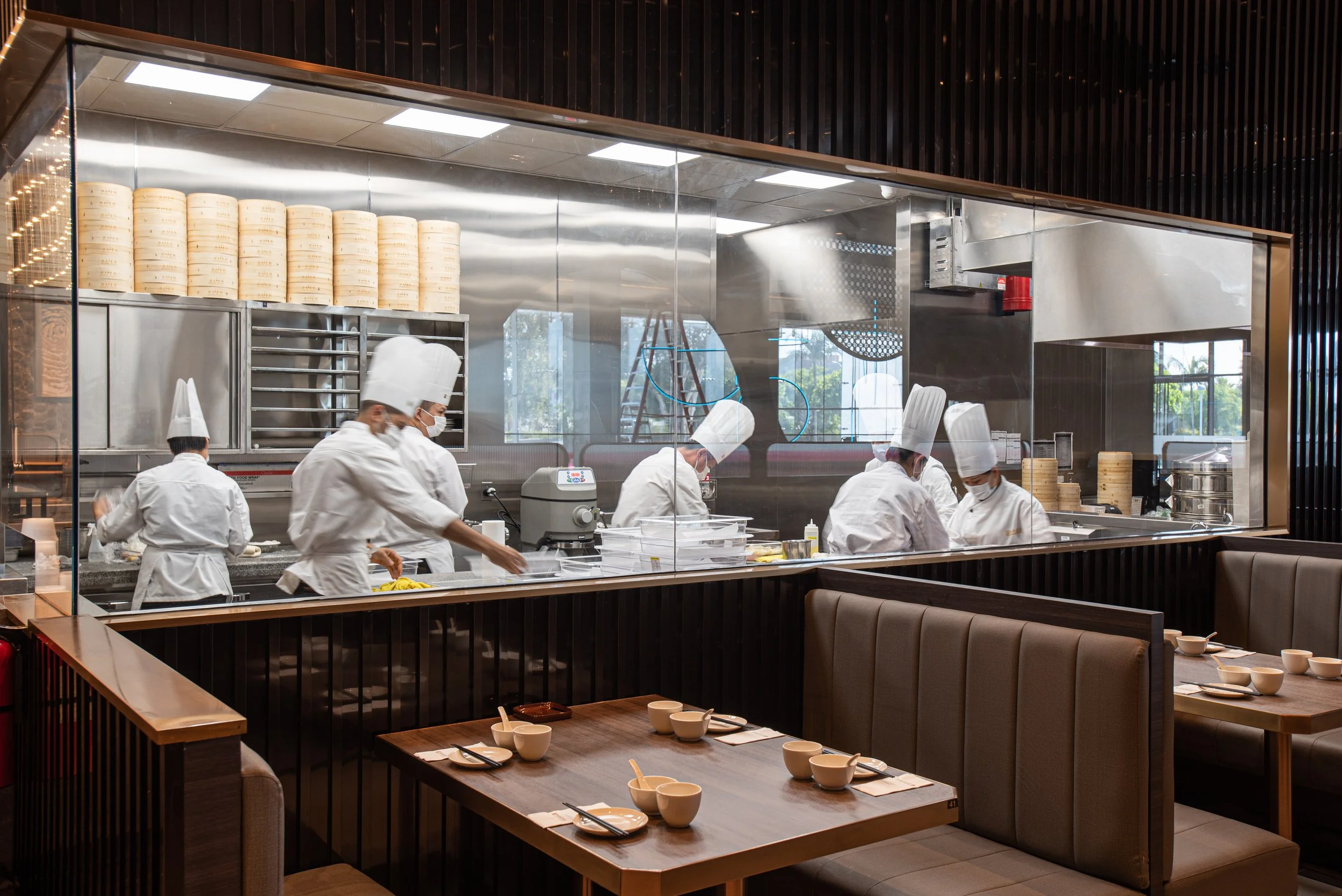 PARADISE DYNASTY DOES IT AGAIN