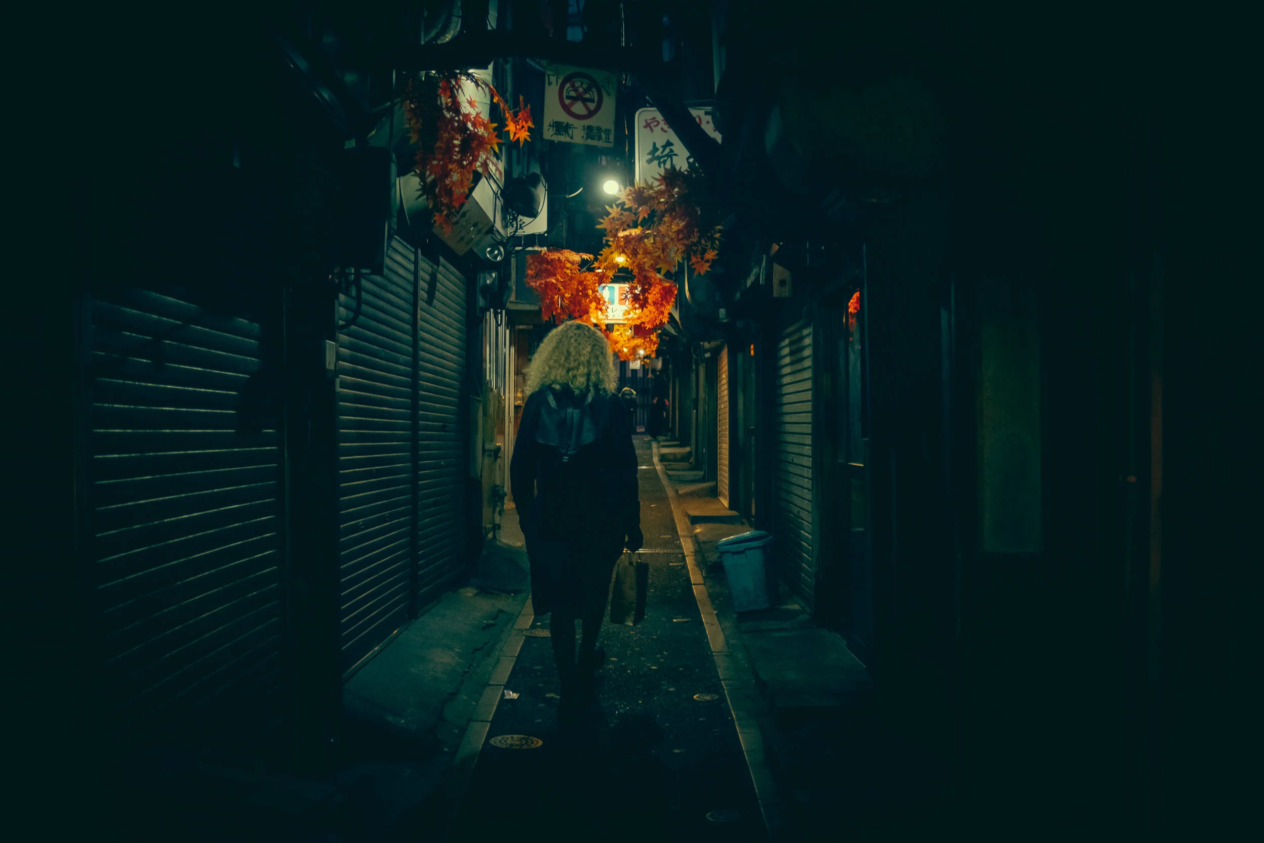 DSCF8172.jpg