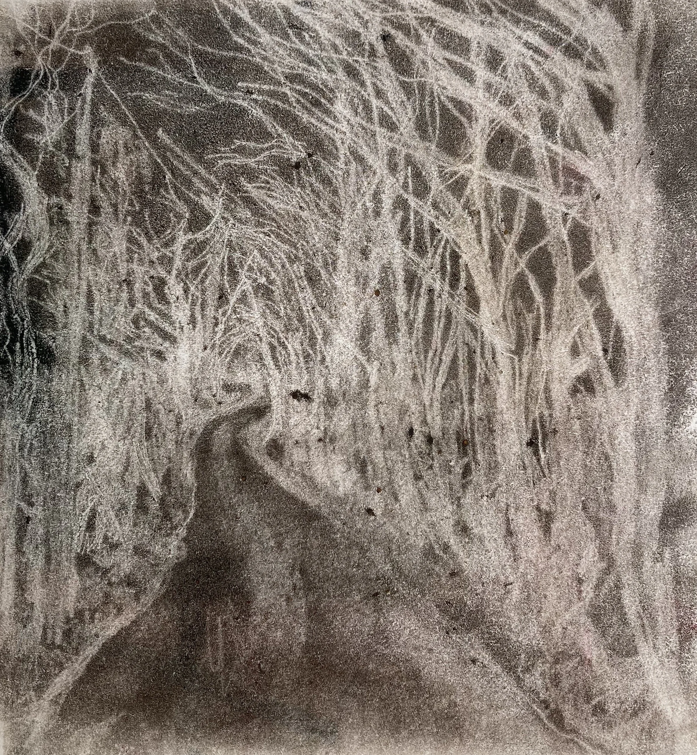    Road Less Travelled  , Ghost monotype print  