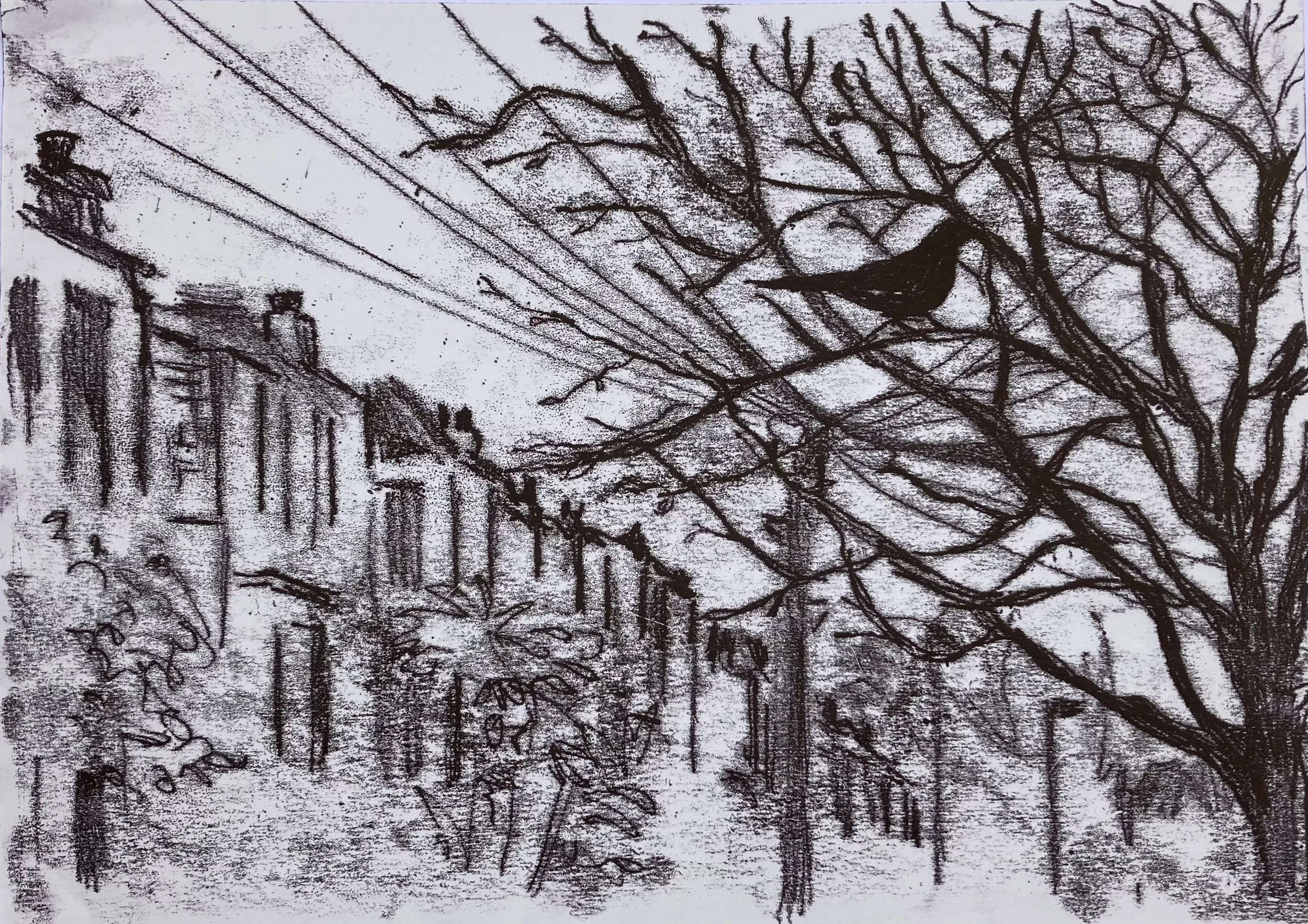    Kellerton Blackbird,   unique monotype drawing 