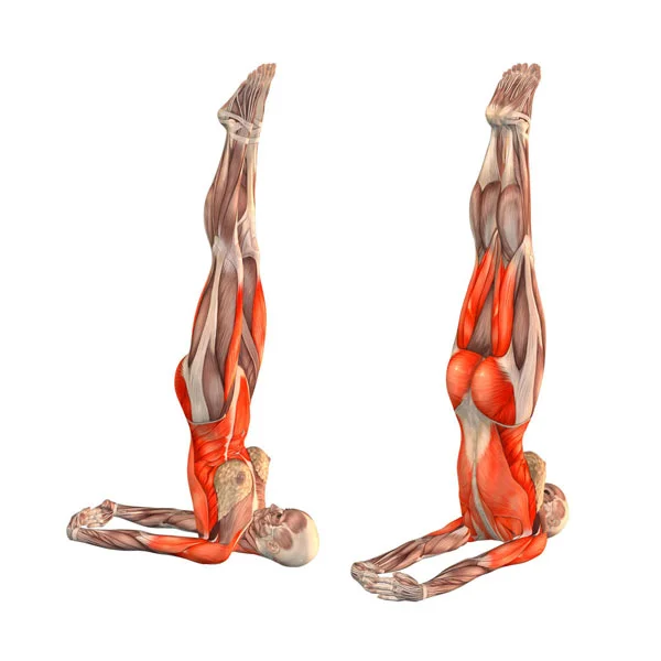 Shoulderstand, or Just Because A Teacher Suggests A Pose Doesn't Mean
