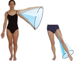 Circumduction: circular movement!