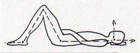 Simple drawing of Alexander Technique's Constructive Rest position. 