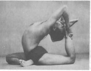 This pose, a pigeon variation, is often a "dream goal" pose for yoga folks. Does this degree of spinal flexibility necessarily serve us all? Perhaps not.
