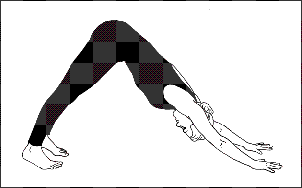 Downward facing dog- ask a teacher for some help with your DFD if you feel like you have shoulder, wrist, and elbow pain.