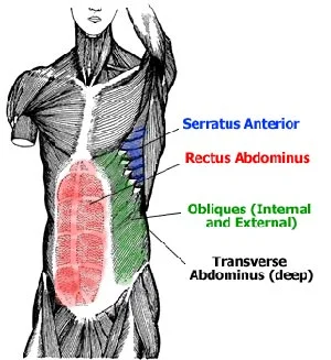 Images like this make folks believe that core is just abdominals!