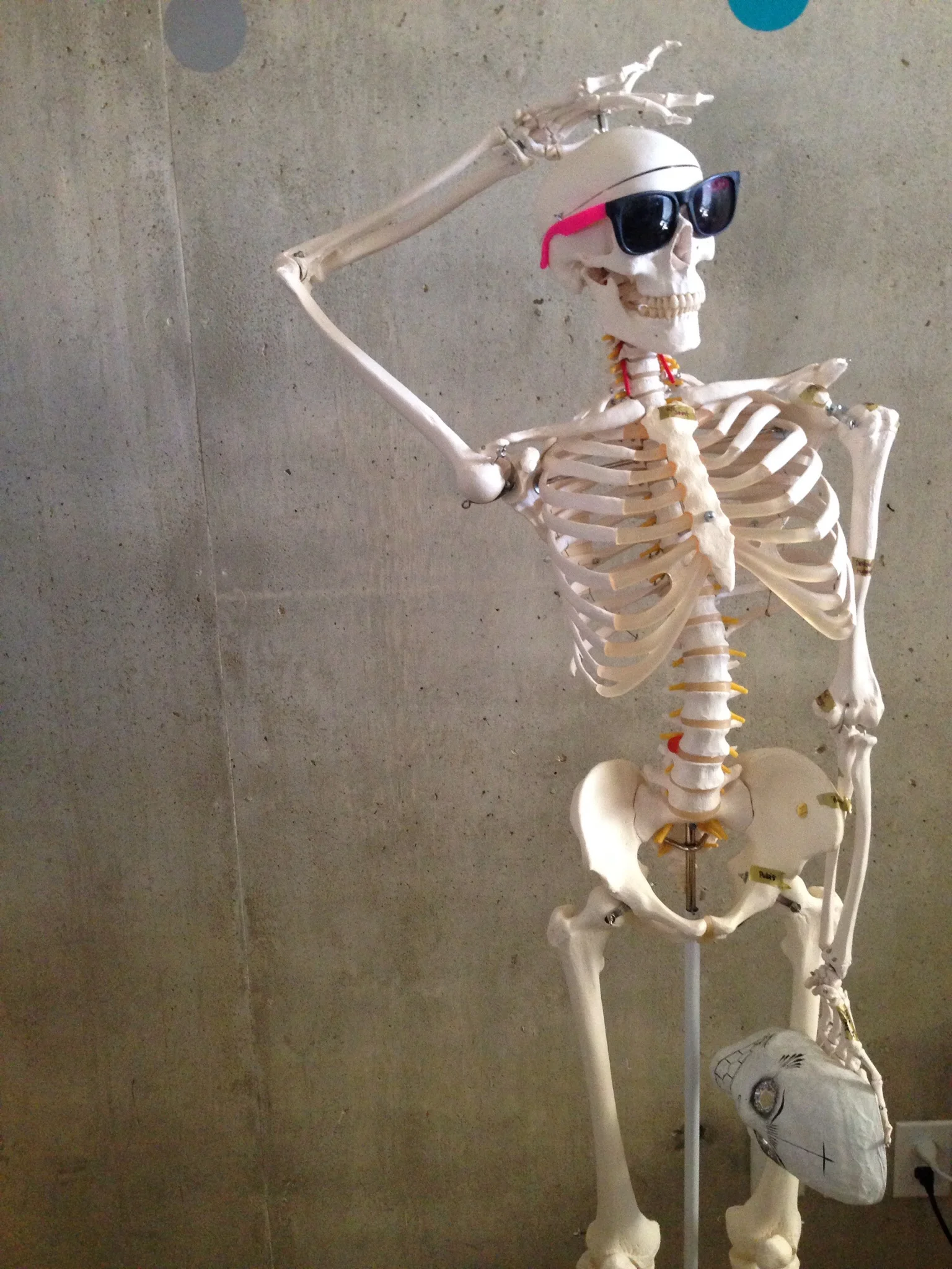 One of my goals for 2014 was to expand my understanding of embodied anatomy, and start to share my knowledge/learning process with people. I also wanted to try crossfit (check) and keep running a few 5ks (check). Anatomy is a HUGE subject, and I 've barely scraped the surface, but I've learned a lot and I'm excited to learn more.