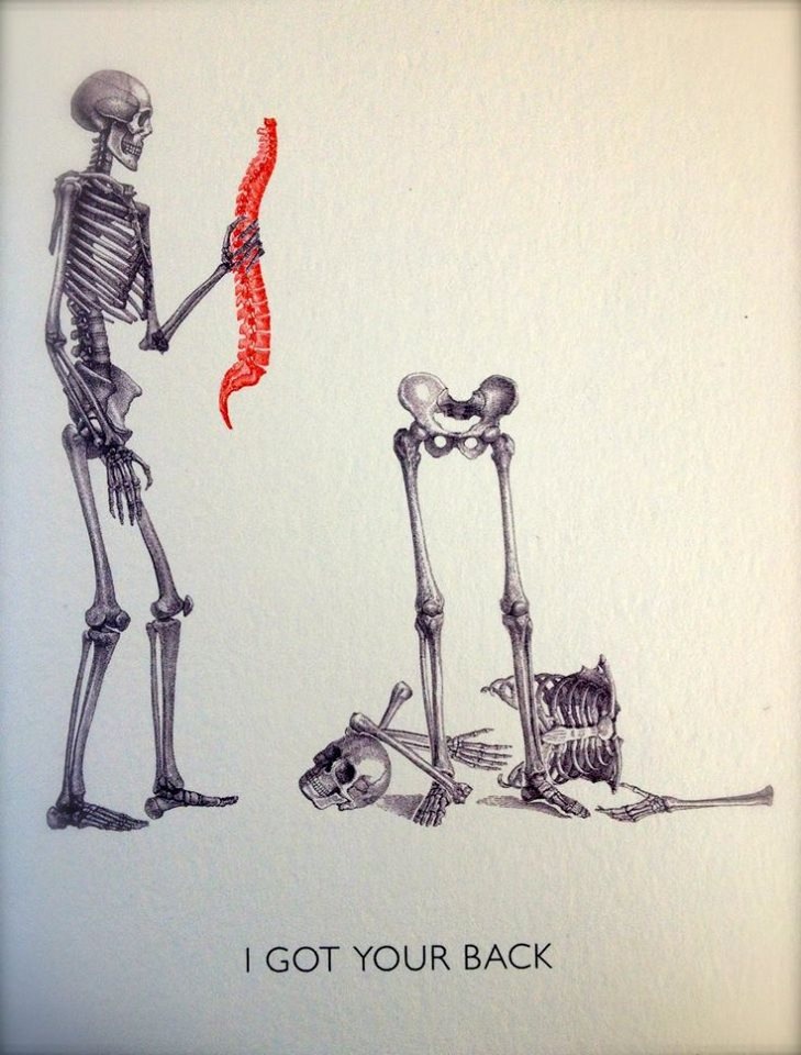 Look at big structures- spine, pelvis, legs, feet. Start to notice how people move, even if you don't have the languaging to identify everything.