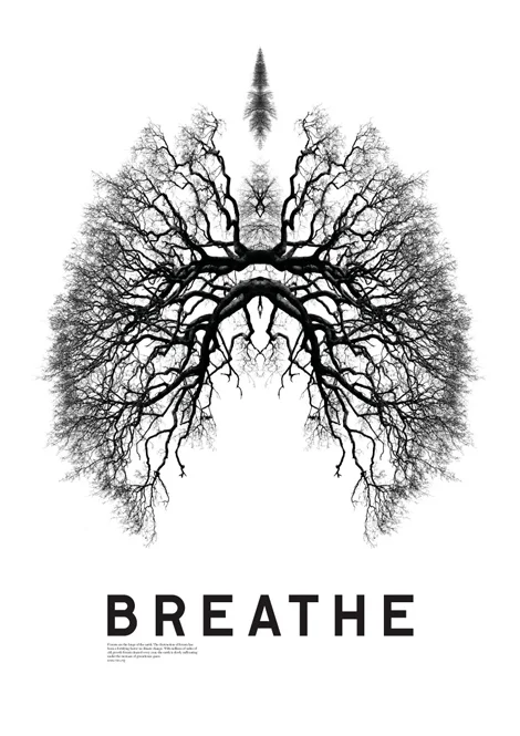 If you're a wind player, you're probably aware of your breath, but for the rest of us, we only notice it when we're nervous, performing, or auditioning.  Can you become more aware of your resting breath?