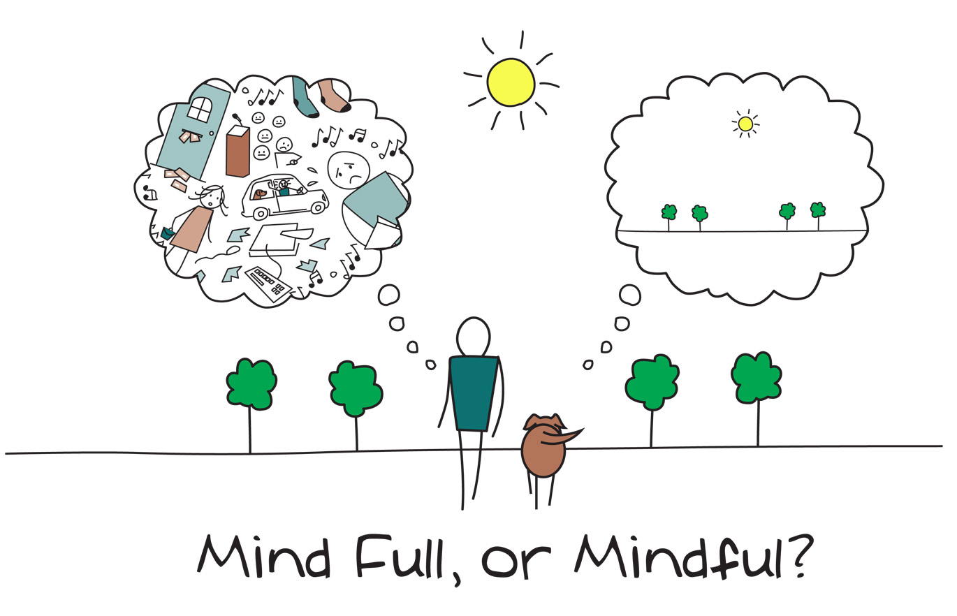 When we walk, we are often so distracted by thoughts, feelings, the past, the future, etc., whereas we could be aware of the walk, the weather, the scene, etc. This is very true in the practice of music, performance, and preparation!
