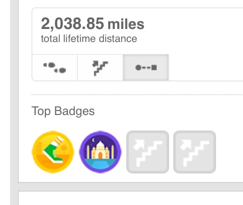 There are definitely downsides to fitbits and other technology, and I don't wear mine in the house, while practicing, or when I'm not walking, but it's helpful to keep track of miles for the year, especially if you don't want to use "Track My Walk" on your phone.