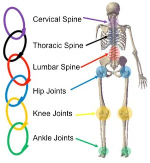 Kinetic chain image