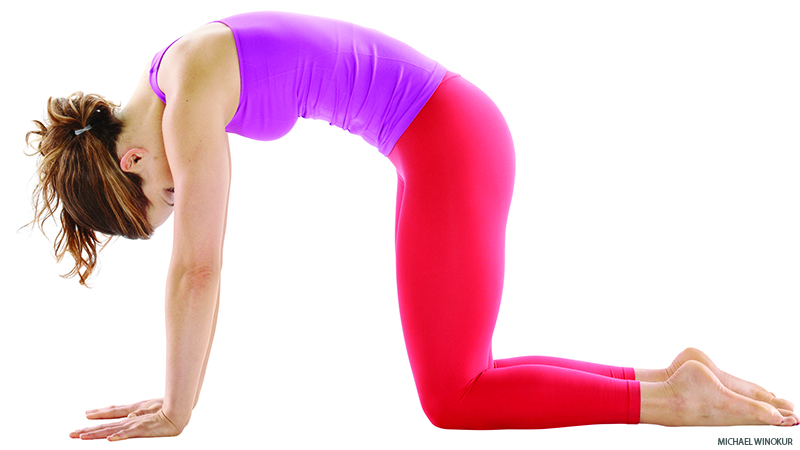 This is a traditional yoga pose called cat pose, Image courtesy of Yoga Journal.