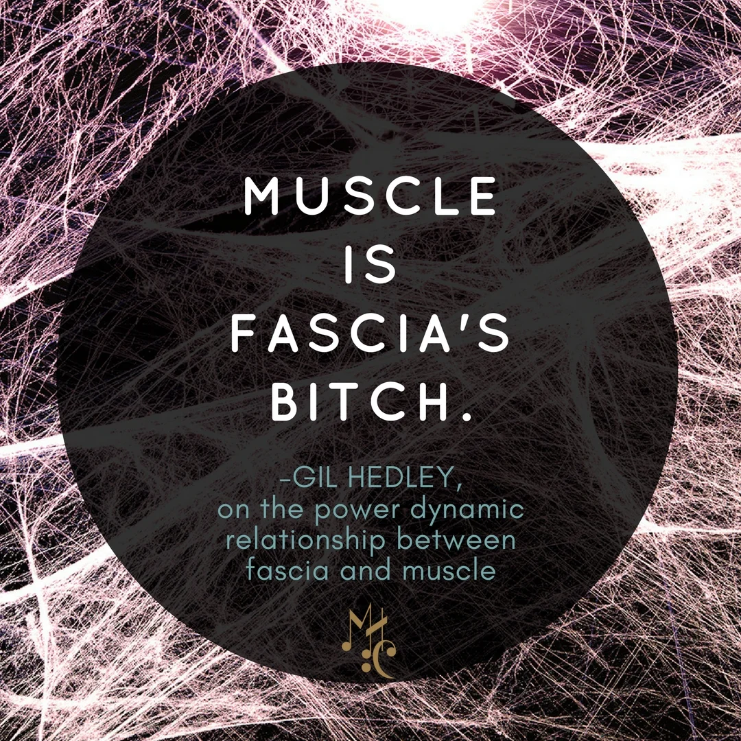 In Gil's talk, he discussed how fascia is stronger than we ever realized before, and that the health of the fascia profoundly affects the function of the structures it surrounds. 