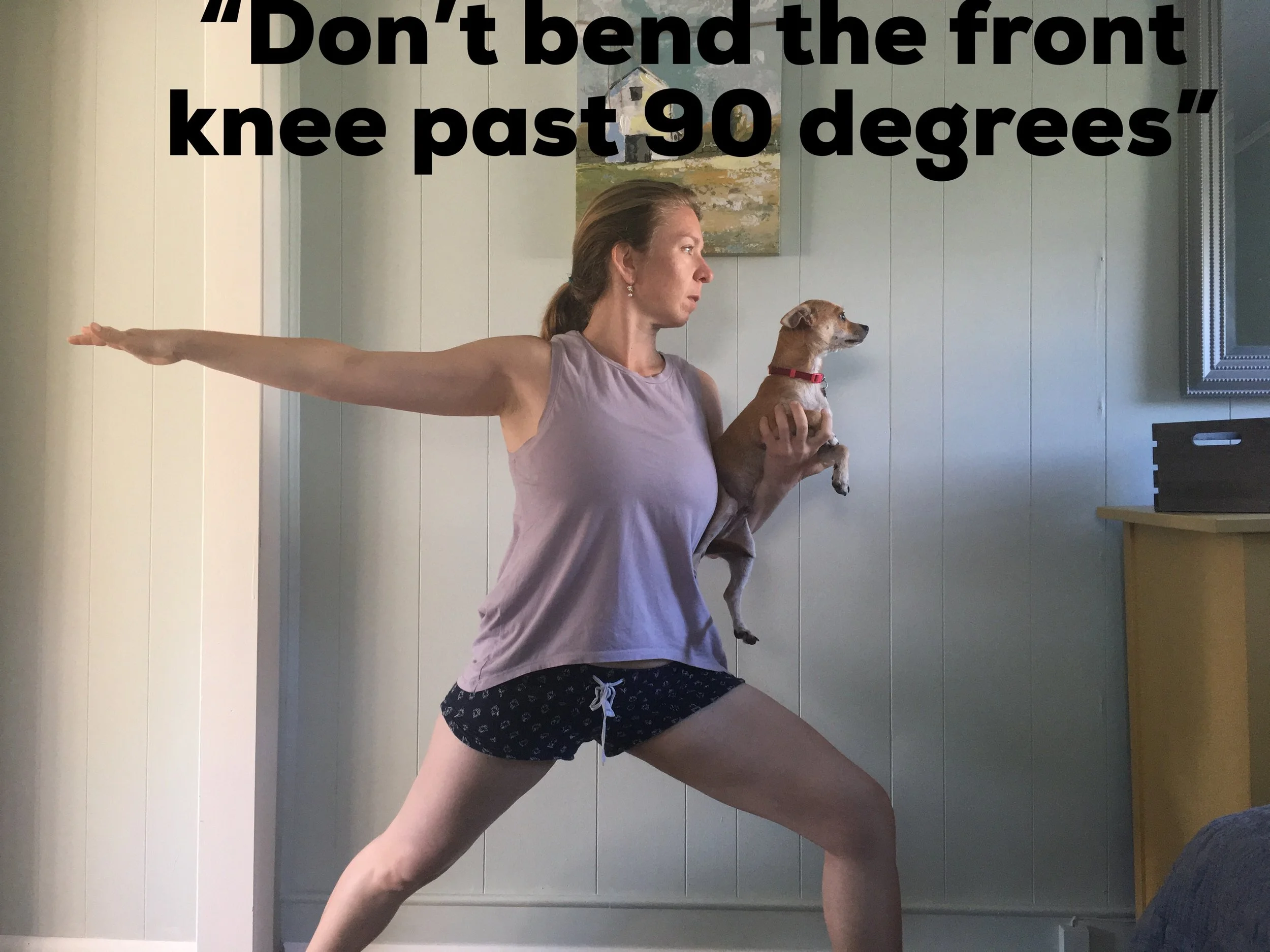 Once again, the dog is a critical piece of the pose here, obviously.