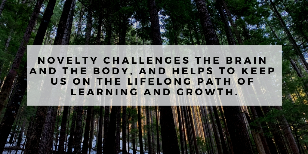 Novelty challenges the brain and the body, and helps to keep us on the lifelong path of learning and growth..jpg