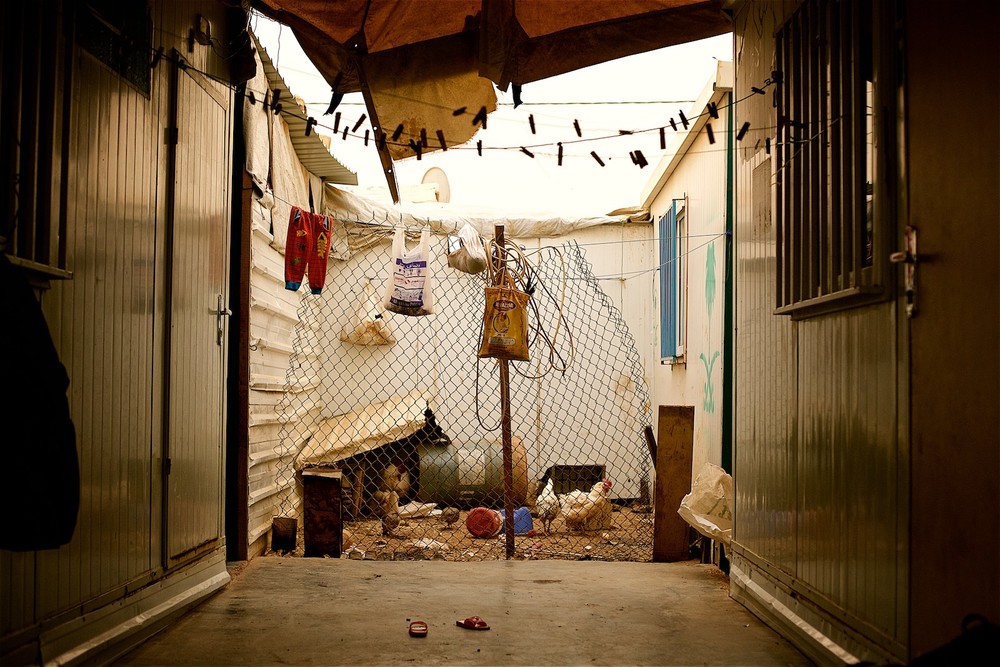  Keďže karavany a stany UNHCR nie je dovolené upravovať, Abdullah bez akéhokoľvek zásahu do nich medzi dvoma susednými vybudoval malý dvor s plotom pre sliepky. "Deti takto majú mäso aspoň raz do mesiacia," hovorí Abdulla. (photo: Denis Bosnic) 