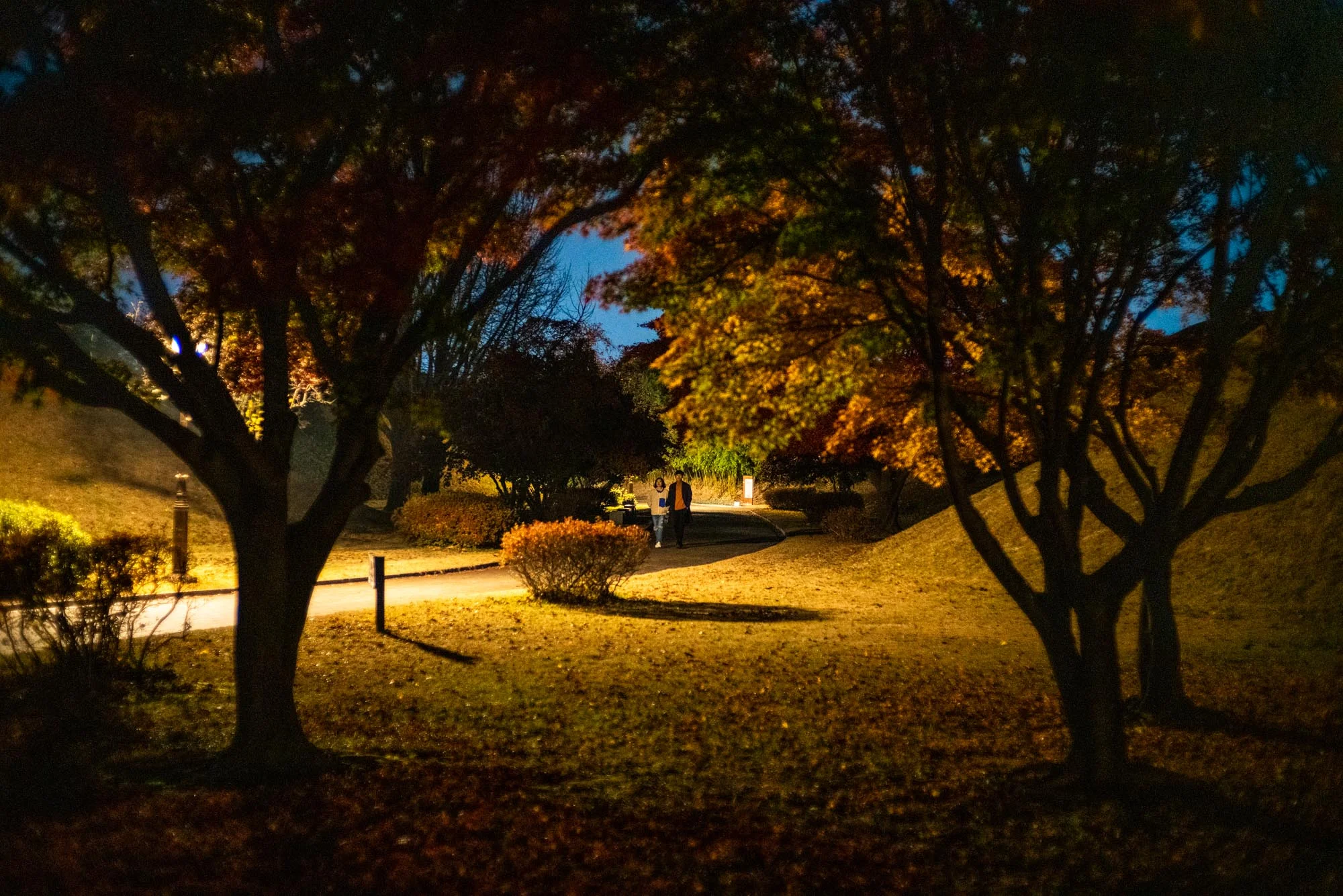gyeongju-day-night-denis-bosnic-22.jpg