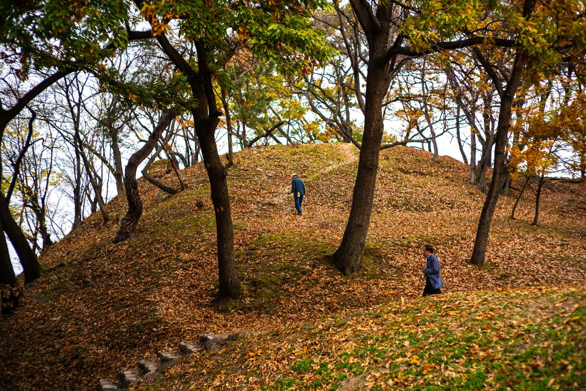 gyeongju-day-night-denis-bosnic-95.jpg