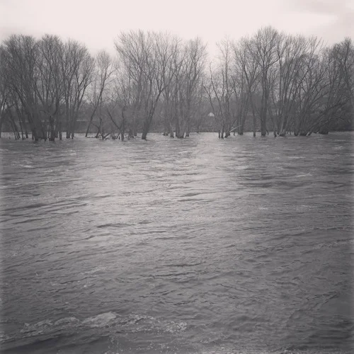 north woods.jpg